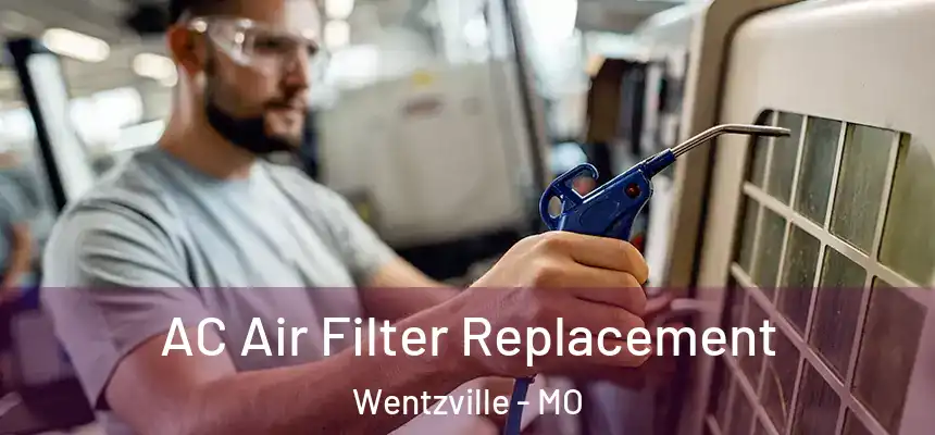  AC Air Filter Replacement Wentzville - MO