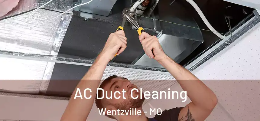  AC Duct Cleaning Wentzville - MO