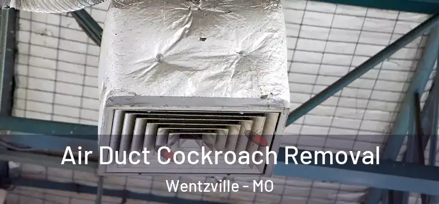  Air Duct Cockroach Removal Wentzville - MO