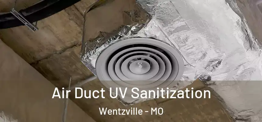  Air Duct UV Sanitization Wentzville - MO