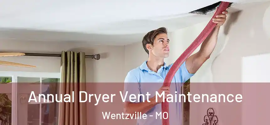  Annual Dryer Vent Maintenance Wentzville - MO