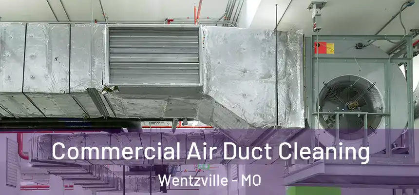  Commercial Air Duct Cleaning Wentzville - MO
