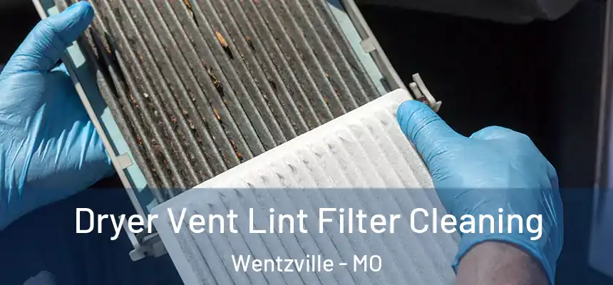 Dryer Vent Lint Filter Cleaning Wentzville - MO