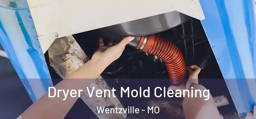  Dryer Vent Mold Cleaning Wentzville - MO