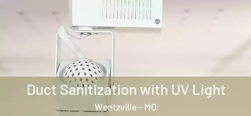  Duct Sanitization with UV Light Wentzville - MO