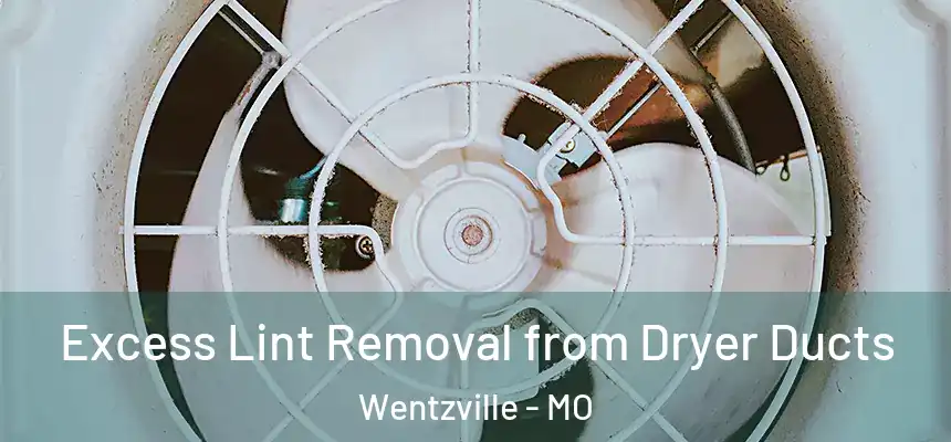  Excess Lint Removal from Dryer Ducts Wentzville - MO