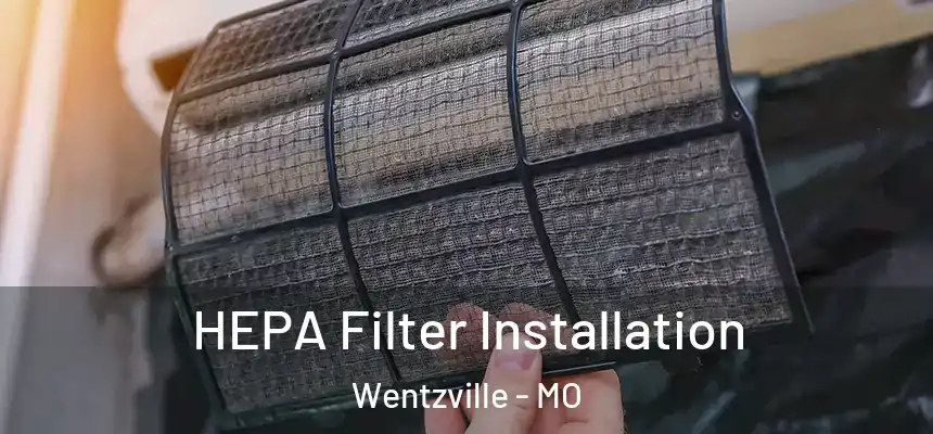  HEPA Filter Installation Wentzville - MO