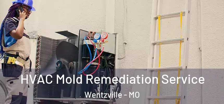  HVAC Mold Remediation Service Wentzville - MO
