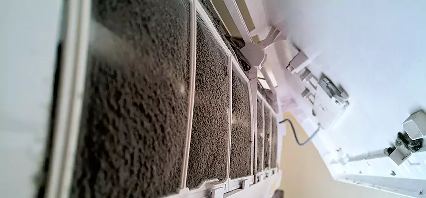 Preventive Air Duct Bacteria Removal in Wentzville