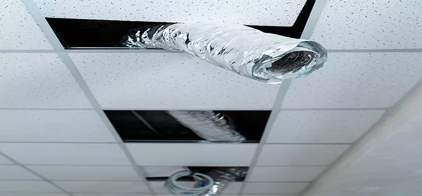 Affordable HVAC Sanitizing After Pest Removal in Wentzville