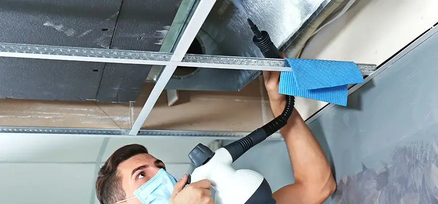 Our Air Duct Rodent Removal Services in Wentzville, MO