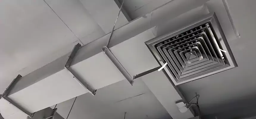 Our Pest Removal From Ducts Services in Wentzville, MO