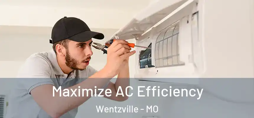 Maximize AC Efficiency Wentzville - MO