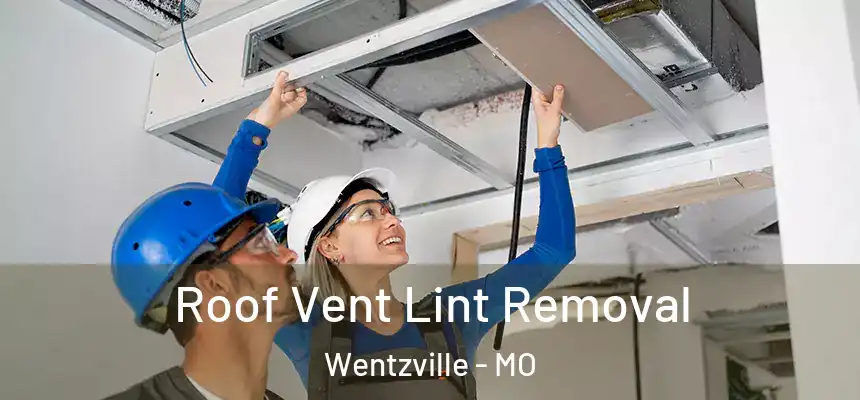  Roof Vent Lint Removal Wentzville - MO