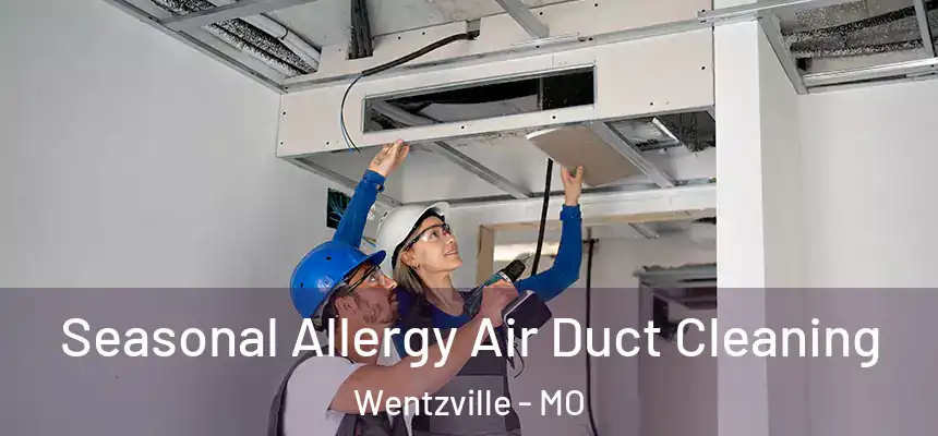  Seasonal Allergy Air Duct Cleaning Wentzville - MO