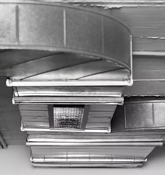 Professional Air Duct Pet Hair Removal in Wentzville, MO