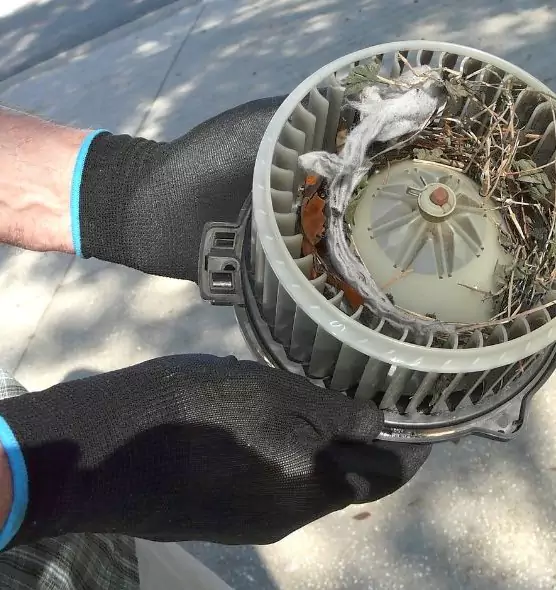 About Air Duct Rat Removal in Wentzville, MO