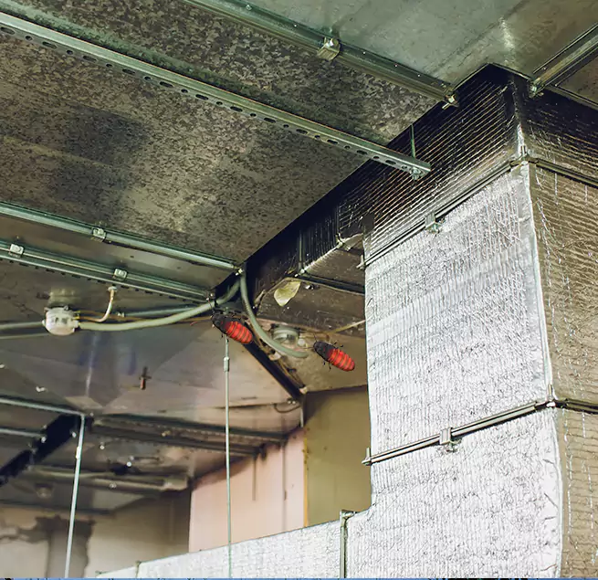 Why Homeowners & Businesses Trust Us in Wentzville, MO?