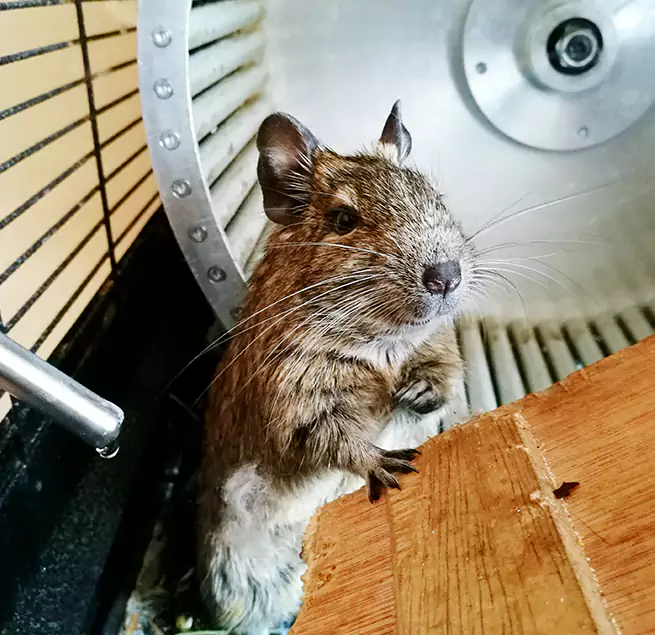 Why Homeowners & Businesses Trust Us Wentzville, MO