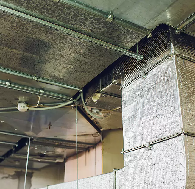 Why Homeowners & Businesses Trust Us in Wentzville, MO?