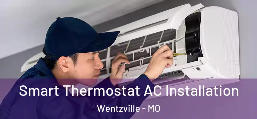  Smart Thermostat AC Installation Wentzville - MO
