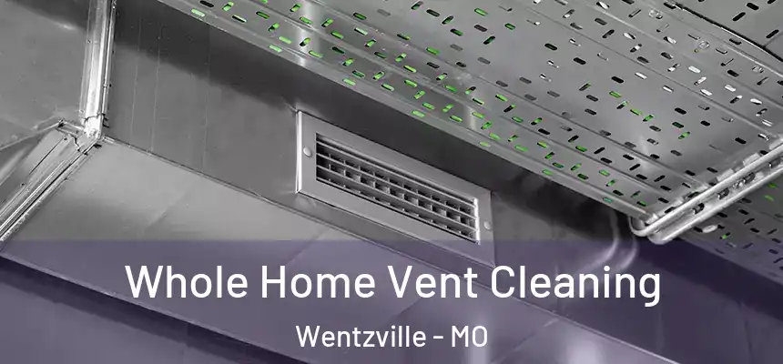  Whole Home Vent Cleaning Wentzville - MO